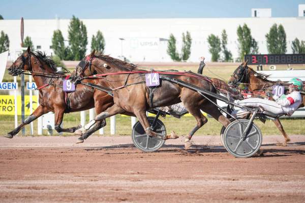 Keeping Jyl Arrivée Quinté+ Pmu Prix De L'Agglomeration D'Agen
