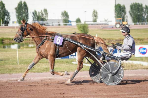 KERDYNA MATCH