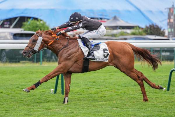 NOBLE COTAI