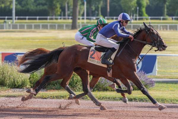 NABUCCO DE RIVIERE