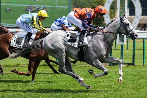 GREYMARA