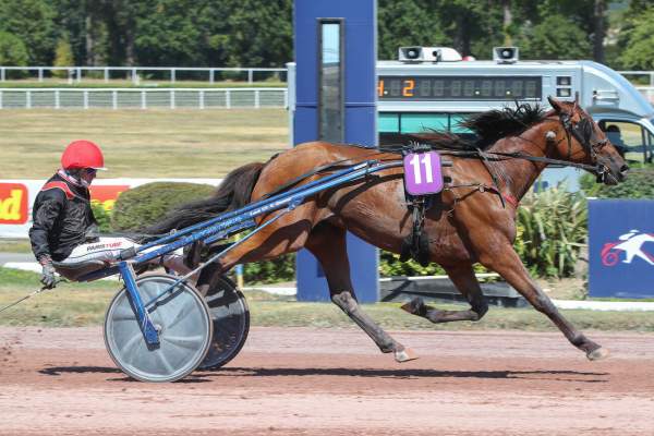 King D'hermes Arrivée Quinté+ pmu Prix de Romainville à Enghien-Soisy