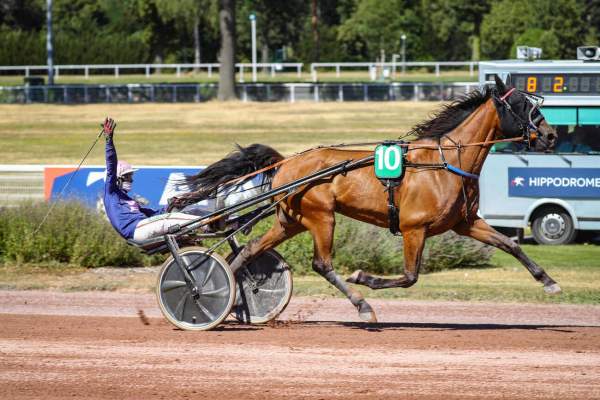 LASKO DES BROUSSES