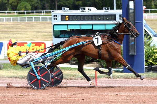 MISTRAL POURPRIX