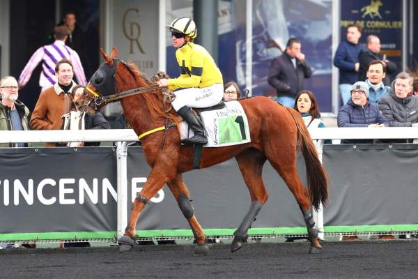 NATIVE D'AUVERS