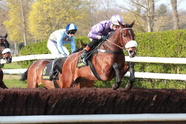PRINCESSE DU LYS