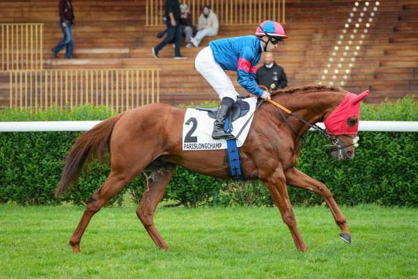 CHESTNUT ROCKET