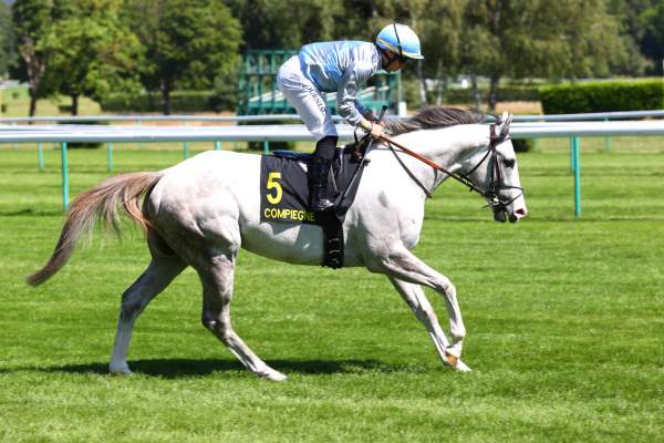SILVER RUSH