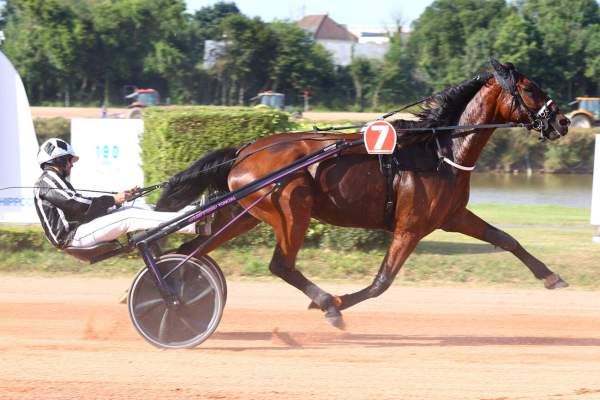 IN LOVE REGLISSE