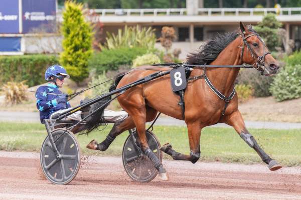NOBLESSE JISCE