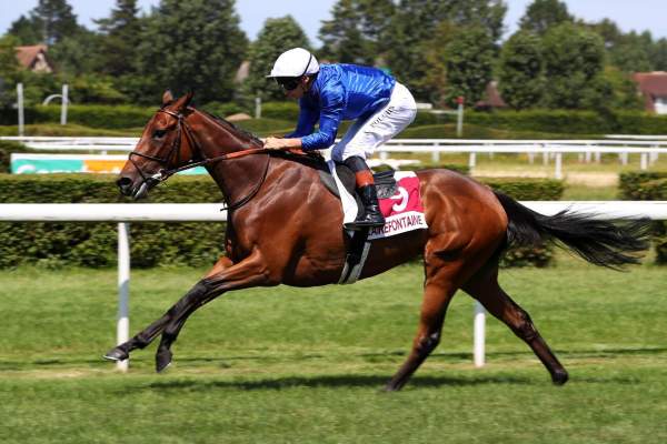 ELLE ECLIPSE