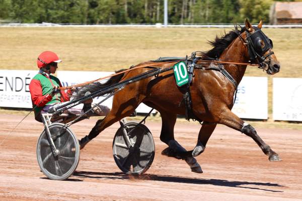 MEDOC PIERJI