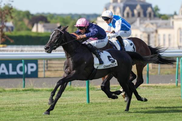 Zelzara Arrivée Quinté+ Pmu Prix Le Roi Soleil à Chantilly