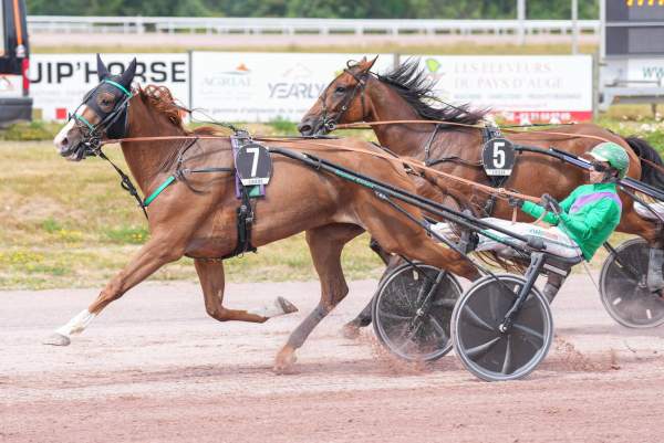 LUBIE DE CELINIERE
