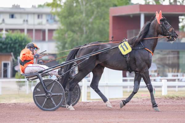 MISTER INVICTUS