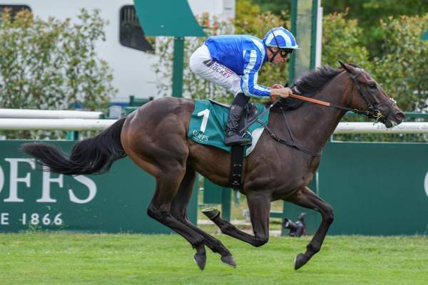 Tokaido Arrivée PMU Goffs Prix Robert Papin 2026 à Chantilly
