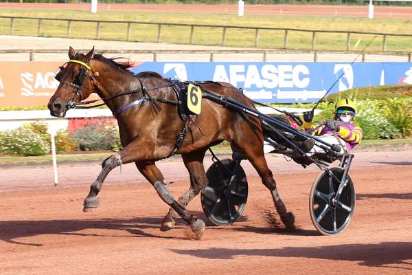 KALYPSO DE THIERRE