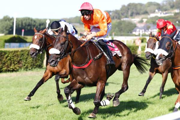 Imoun Jersey Arrivée Quinté+ Pmu Grand Prix Garten On The Beach (Prix Leopold D'Orsetti) à Clairefontaine