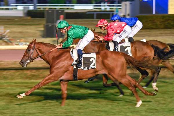 Zaydann Arrivée pmu Grand Prix de Vichy (Gr.III) à Vichy