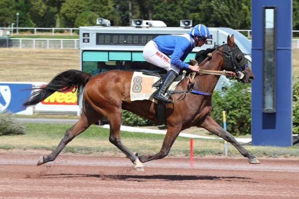 JOKER DE FROULAY