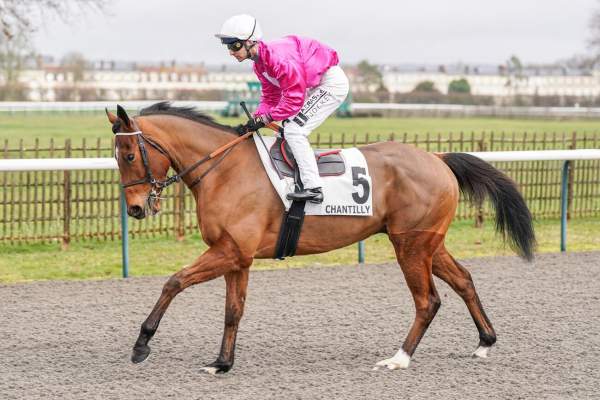 SAINT MONCHIK