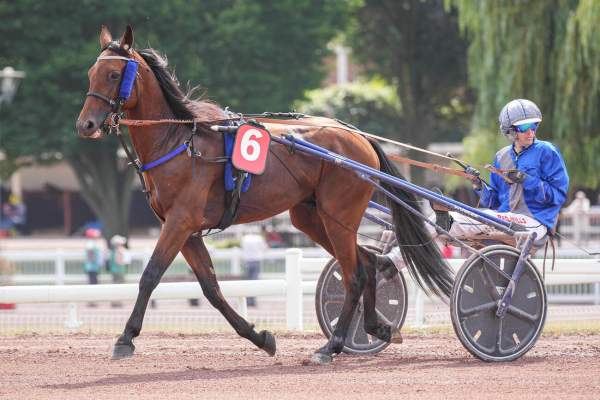 NICKEL DE BAILLE
