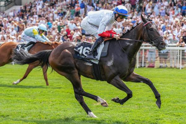 Grand Scoop Arrivée Quinté+ Pmu Grand Handicap des Sprinters à Deauville