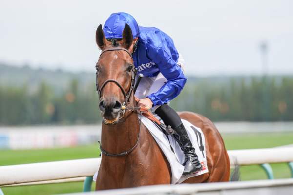ELLE ECLIPSE
