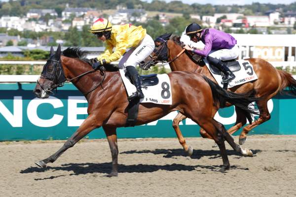 HIGHFIELD HEIRESS