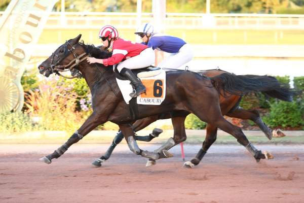 LE VENT DU HOULET