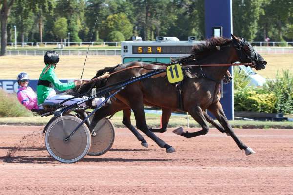 LICENCE CASTELETS