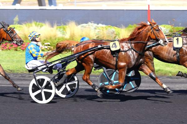 INDY PIQUENARD