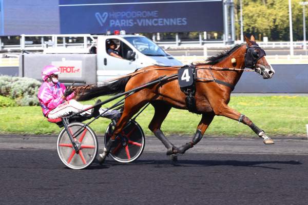 OBELLA DES BORDES