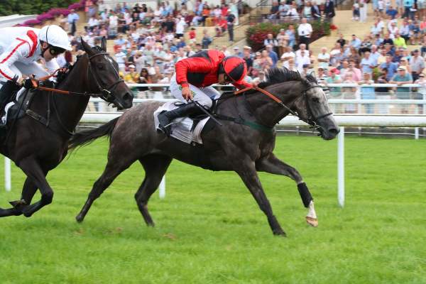 STARSPIRIT GATSBY