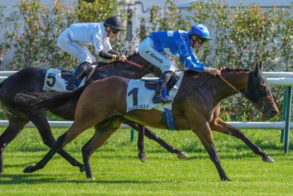 BOURGOIN