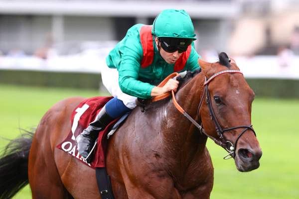 Daryz Arrivée pmu Qatar Prix Foy (Gr.II) à Longchamp