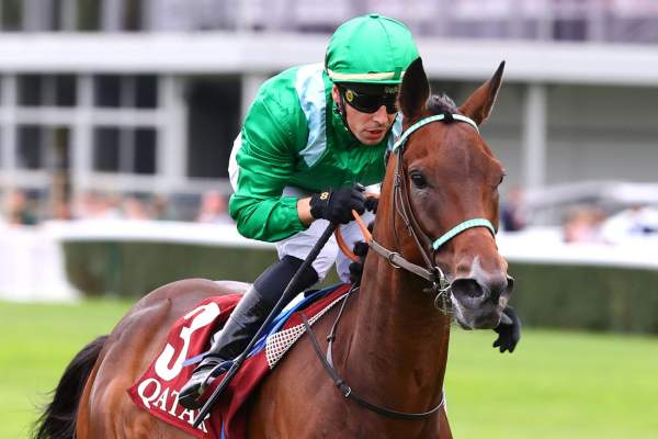 Hm Alchahine Arrivée pmu Qatar Cup - Prix Dragon à Longchamp