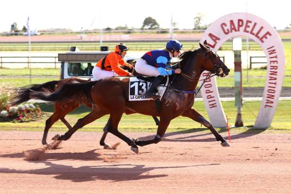 IQUEM NARCY