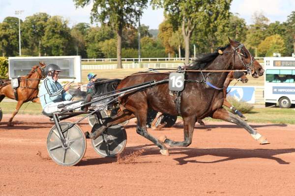 MICKEY DE CRENNES