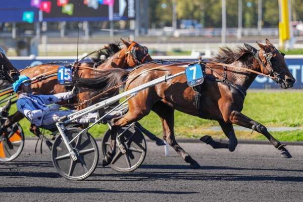 Naya D'eronville Arrivée pmu Critérium des 3 ans à Vincennes