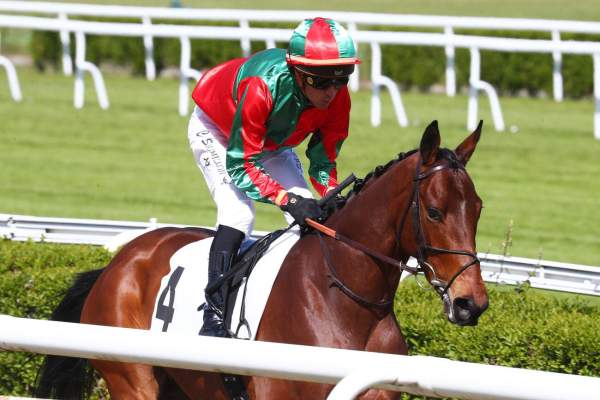 GRECIAN CONQUEST