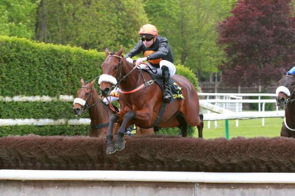 LE SIRE