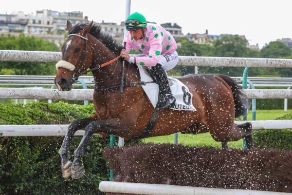 MATADOR DES OBEAUX