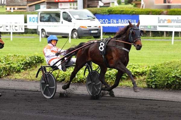 DOMENIK JET