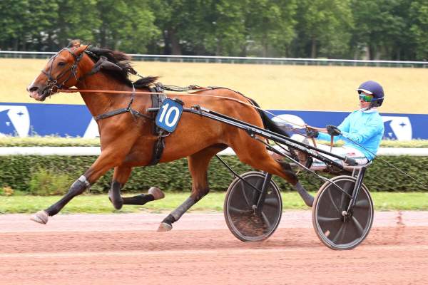 NELSON DU CAIEU