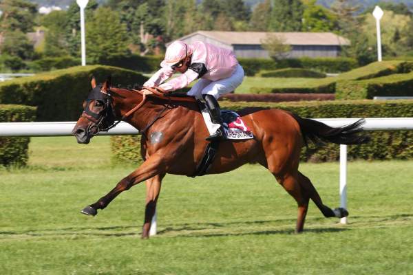 QUALIAND
