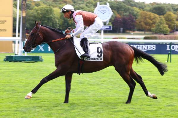 LE LEGIONNAIRE