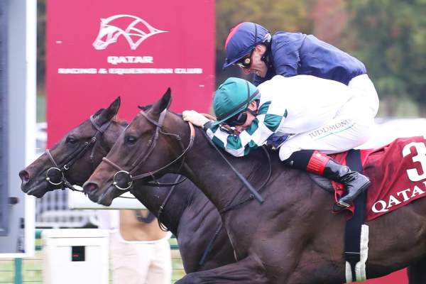 Avec Toi Arrivée PMU Qatar Prix la Rochette 2026 à ParisLongchamp