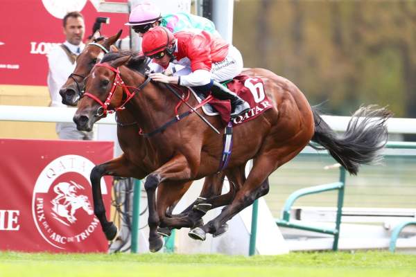 Rogue Passion Arrivée PMU Qatar Prix d'Aumale 2026 à ParisLongchamp