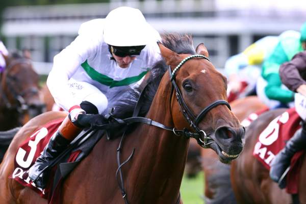 Friendly Soul Arrivée PMU Pick5 Qatar Prix Vermeille à ParisLongchamp